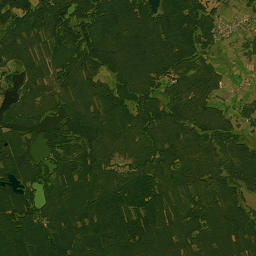 Satelita