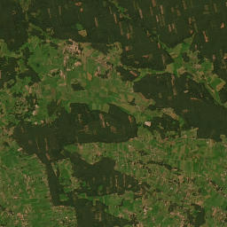 Satelita