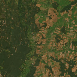 Satelita