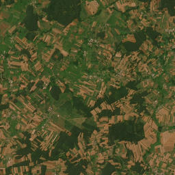 Satelita