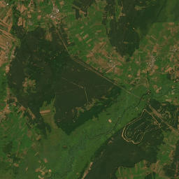 Satelita