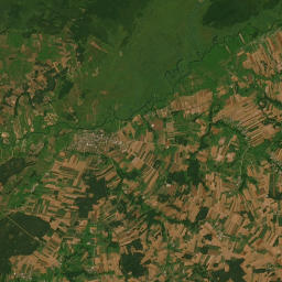 Satelita