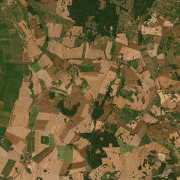 Satelita