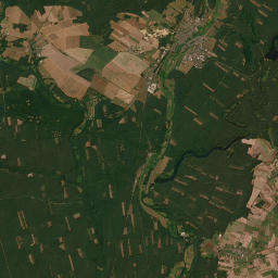 Satelita