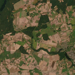 Satelita