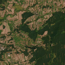 Satelita