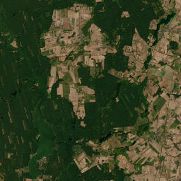 Satelita