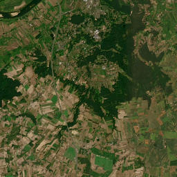 Satelita