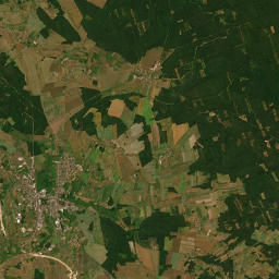 Satelita