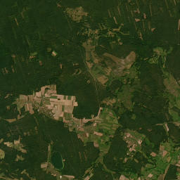 Satelita