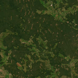 Satelita