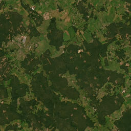 Satelita