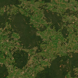 Satelita