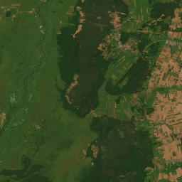 Satelita