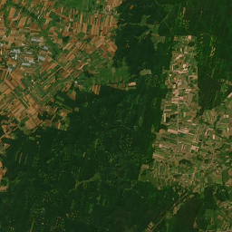 Satelita
