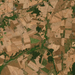 Satelita