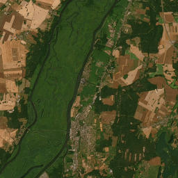 Satelita