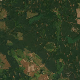 Satelita