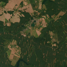 Satelita