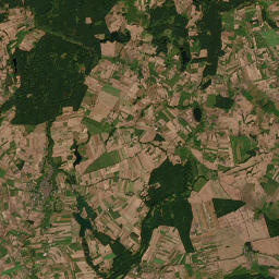 Satelita