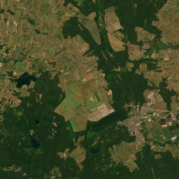 Satelita