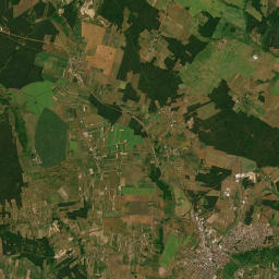 Satelita