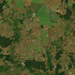 Satelita