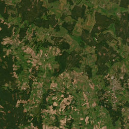 Satelita