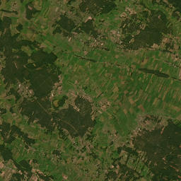 Satelita