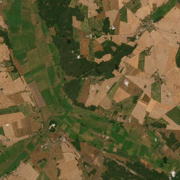 Satelita