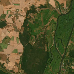 Satelita