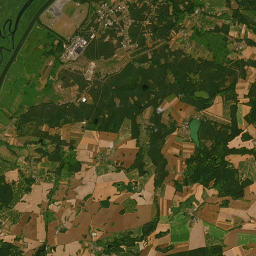 Satelita
