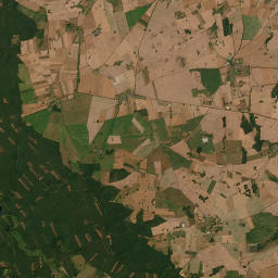 Satelita