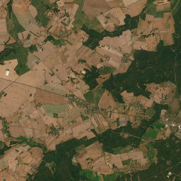 Satelita