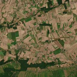 Satelita