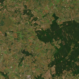 Satelita