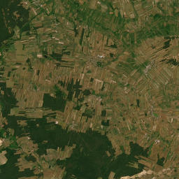 Satelita