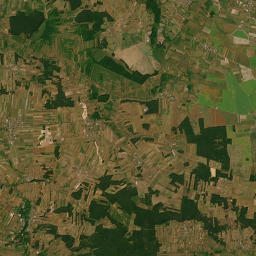 Satelita