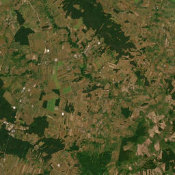 Satelita