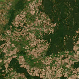 Satelita