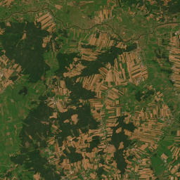 Satelita
