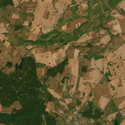 Satelita