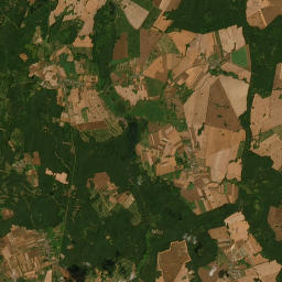 Satelita