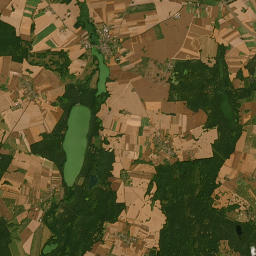 Satelita