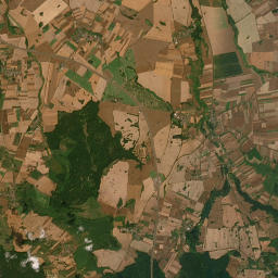 Satelita