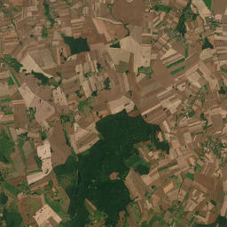 Satelita