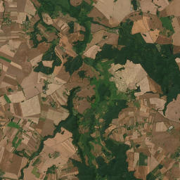 Satelita
