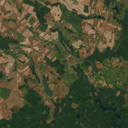Satelita