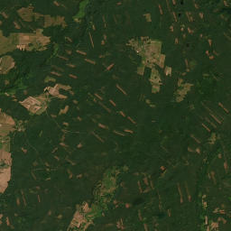 Satelita
