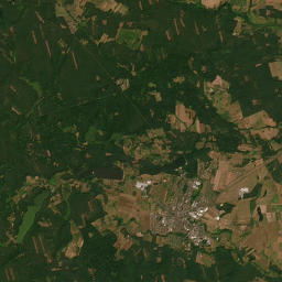 Satelita